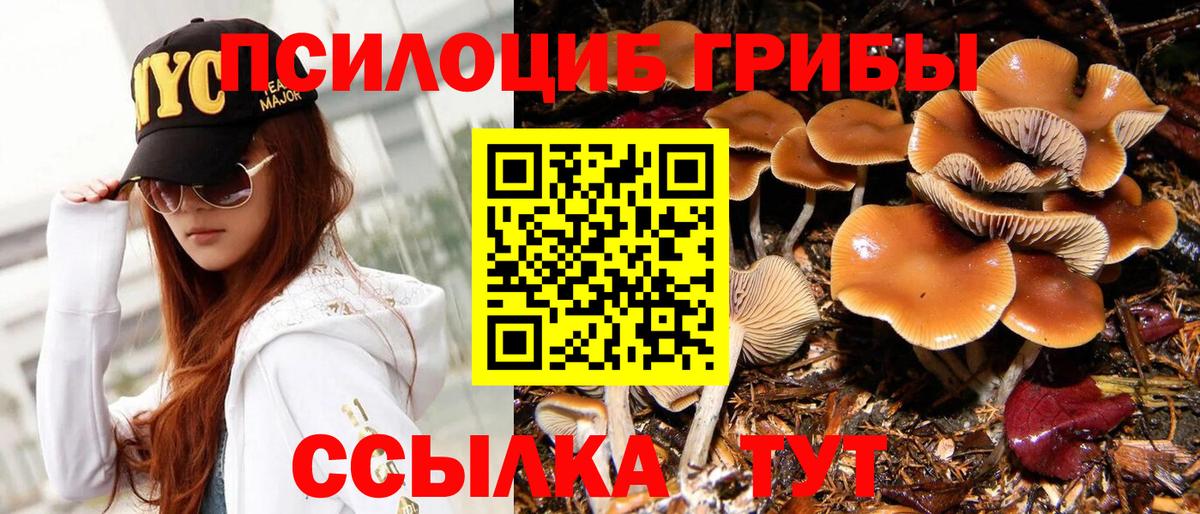 Псилоцибиновые грибы мицелий Майкоп